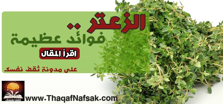 فوائد مغلي الزعتر-تكلم عن أهمية الزعتر فوائد مغلي الزعترتكلم عن أهمية الزعتر