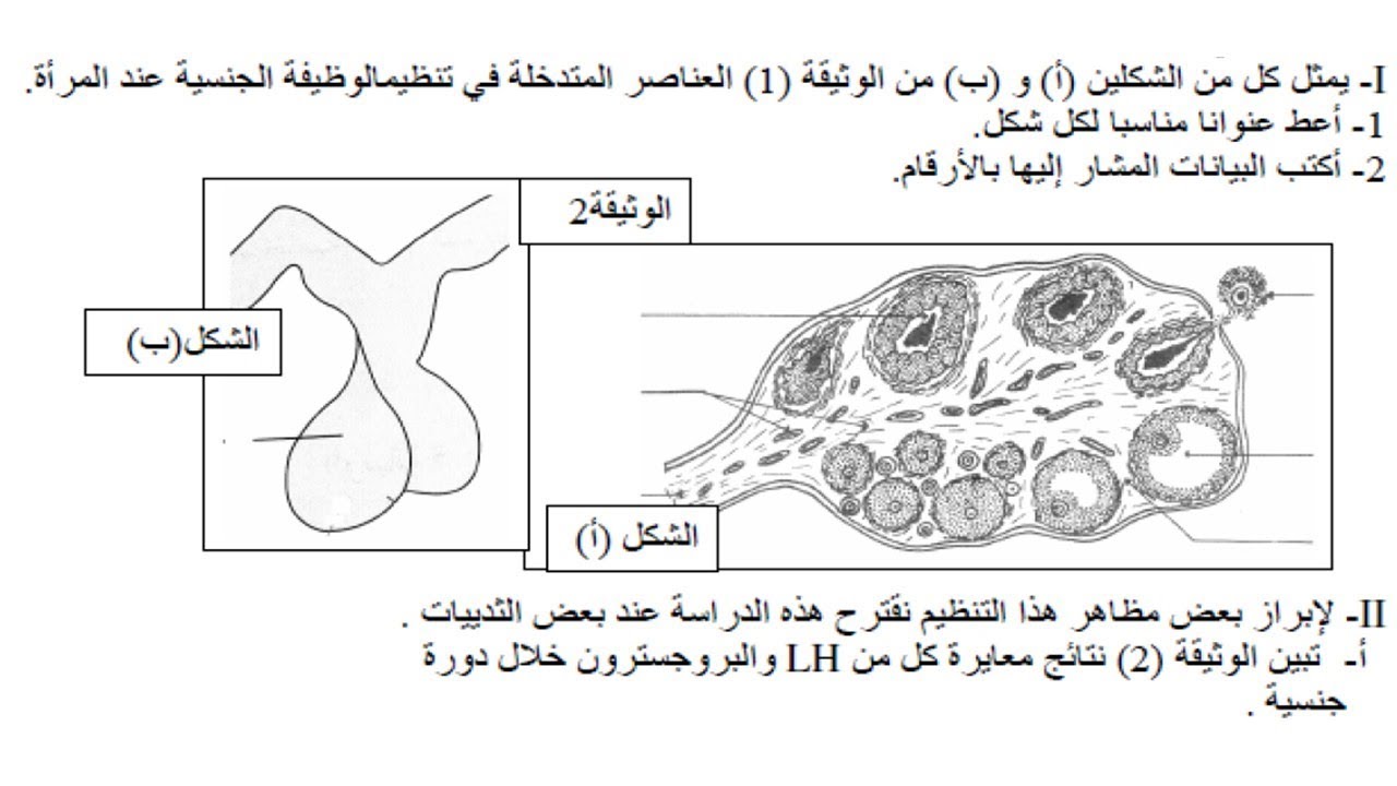 التنسيق العصبي الهرموني اقوى مراجعه ل 7