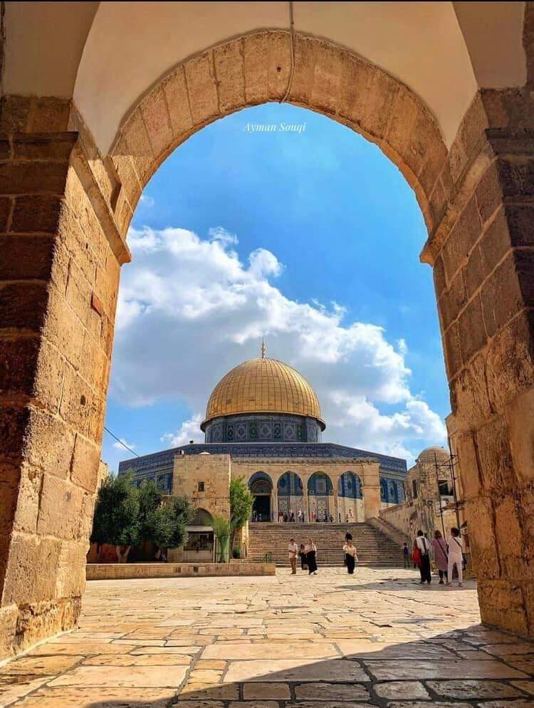 القدس عروس عروبتكم كلمات - قصيدة عن فلسطين مؤثره جدا Fb Img 1656279547923