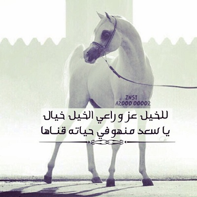 شعر عن ركوب الخيل - الى محبى ركوب الخيل -D8-B4-D8-B9-D8-B1 -D8-B9-D9-86 -D8-B1-D9-83-D9-88-D8-A8 -D8-A7-D9-84-D8-Ae-D9-8A-D9-84 -D8-A7-D9-84-D9-89 -D9-85-D8-Ad-D8-A8-D9-89 -D8-B1-D9-83-D9-88-D8-A8 -D8-A7-D9-84-D8-Ae-D9-8A-D9-84 2