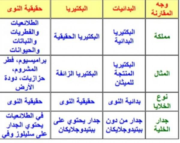 قارن بين خصائص فوق الممالك الثلاث , معلومات تاريخية مهمة