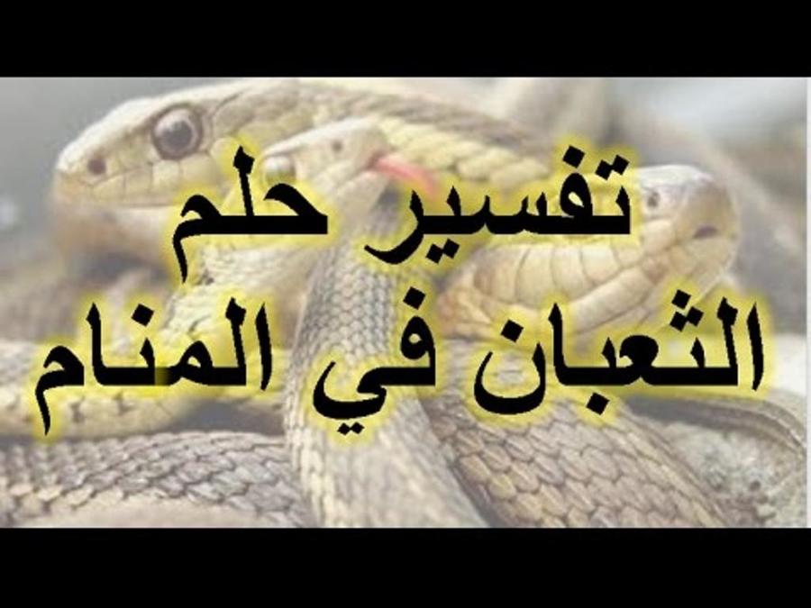 تفسير رؤية الثعبان في الحلم - مشاهدة الافاعي في المنام تفسير رؤية الثعبان في الحلم