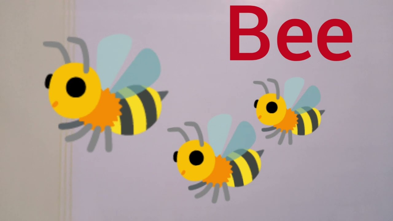 معنى كلمة bee , معنى كلمه BEE وجمل عليها