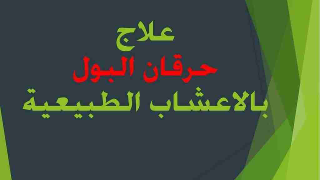 علاج التهاب البول بالاعشابعلاج حرقان