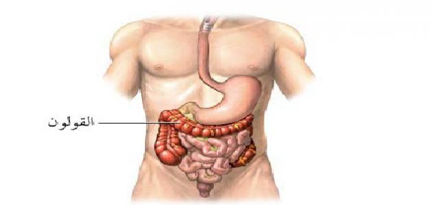 اسرع علاج للقيلون - كله بطنه منفوخ اسرع علاج للقيلون كله بطنه منفوخ