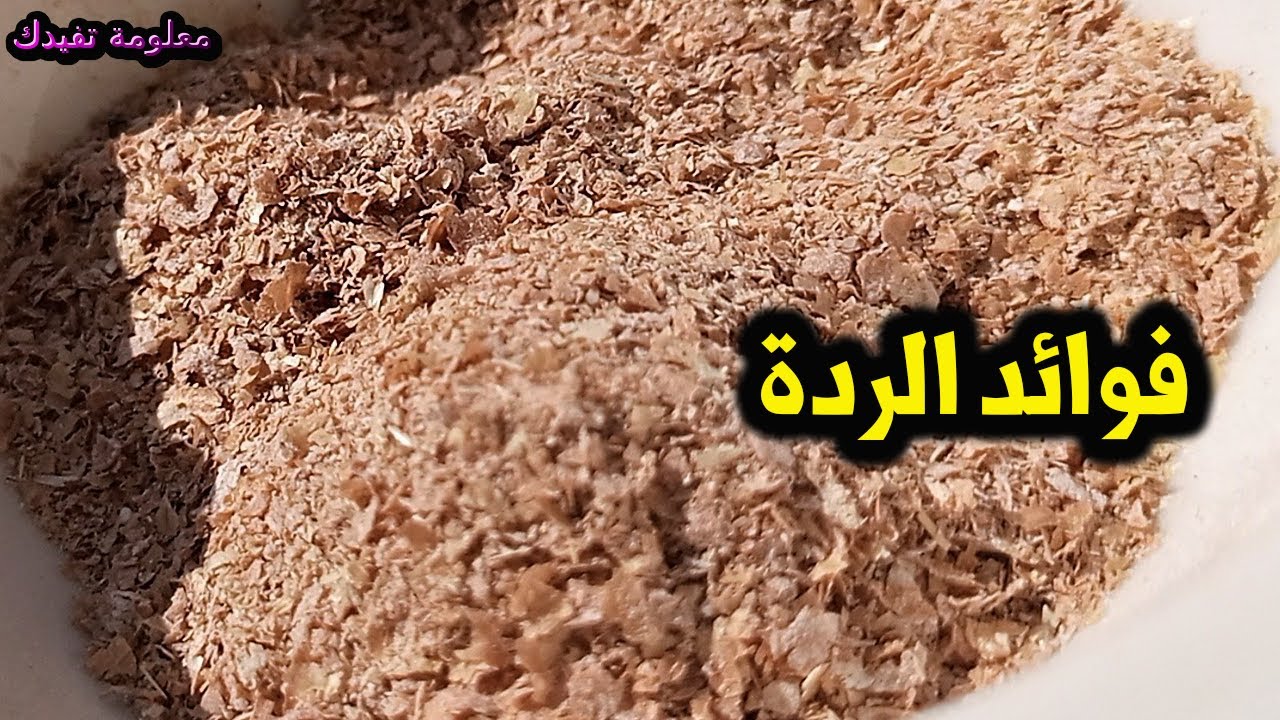 ما هي الردة - حبوب النخالة وفوائدها Maxresdefault 1 7