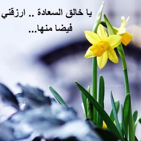 صور معبره جميله