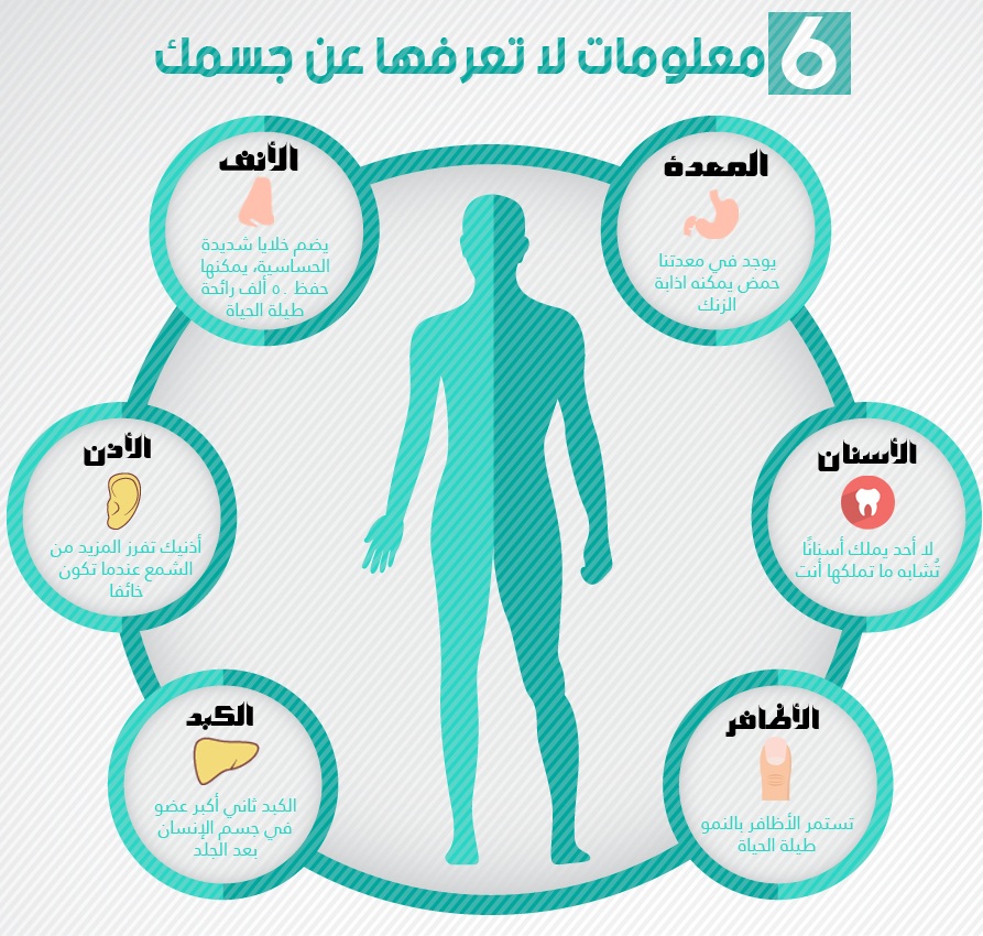 معلومات اتحداك تكون عرفها - معلومات هل تعلم معلومات اتحداك تكون عرفها معلومات هل ت