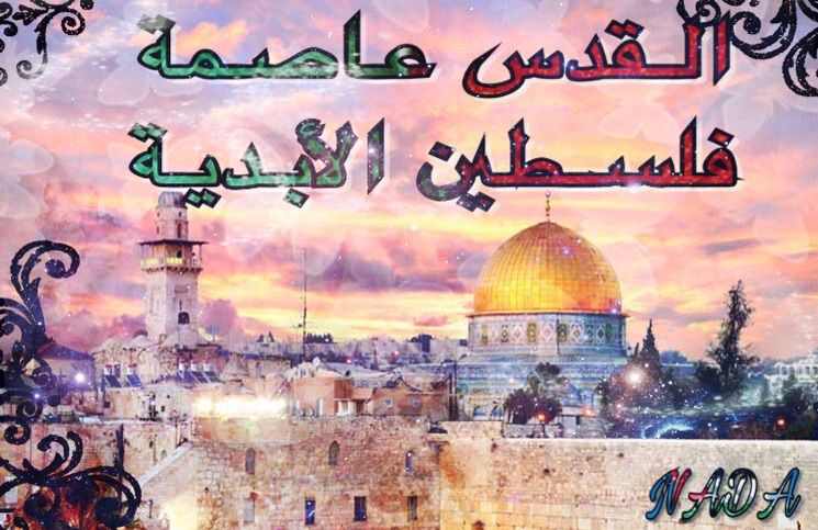 قصيدة في القدس كلمات - شعر فى القدس -D9-82-D8-B5-D9-8A-D8-Af-D8-A9 -D9-81-D9-8A -D8-A7-D9-84-D9-82-D8-Af-D8-B3 -D9-83-D9-84-D9-85-D8-A7-D8-Aa -D8-B4-D8-B9-D8-B1 -D9-81-D9-89 -D8-A7-D9-84-D9-82-D8-Af-D8-B3 1