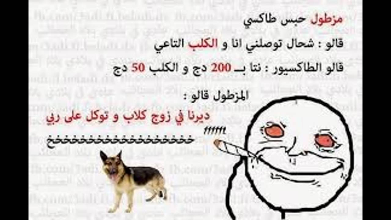 صور نكت جزائرية مضحكة هتموت من الضحك هه 4