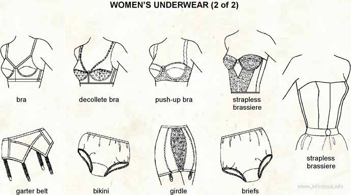 اسماء الملابس الداخلية للبنات بالصور-تعرفى على ملابسك الداخليه بالصور 352 4