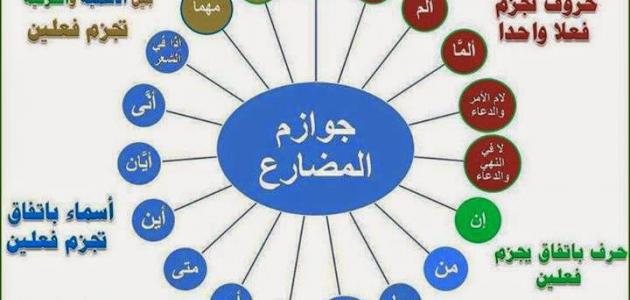 لم اداة جزم - ادوات في اللغة العربية -D9-84-D9-85 -D8-A7-D8-Af-D8-A7-D8-A9 -D8-Ac-D8-B2-D9-85