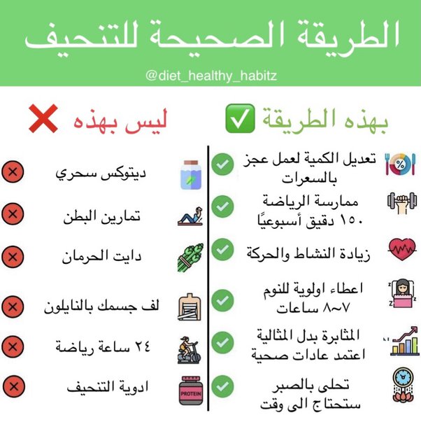 موسوعة التمارين الانظمة الغذائية التجارب الناجحة الوجبات الصحية - صورة تضم كل الوجبات الغذائيه موسوعة التمارين الانظمة الغذائية الت