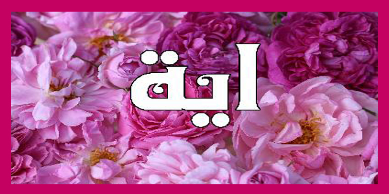 شعر عن اسم اية - احلى شعر لاسم ايه -D8-B4-D8-B9-D8-B1 -D8-B9-D9-86 -D8-A7-D8-B3-D9-85 -D8-A7-D9-8A-D8-A9 -D8-A7-D8-Ad-D9-84-D9-89 -D8-B4-D8-B9-D8-B1 -D9-84-D8-A7-D8-B3-D9-85 -D8-A7-D9-8A-D9-87 6