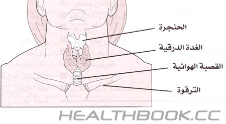 امراض الغدة الدرقية , كل مرض له علاج حتى لو بالتدريج