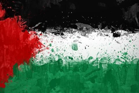 صور اعلام فلسطين , تعرف على اعلام فلسطين