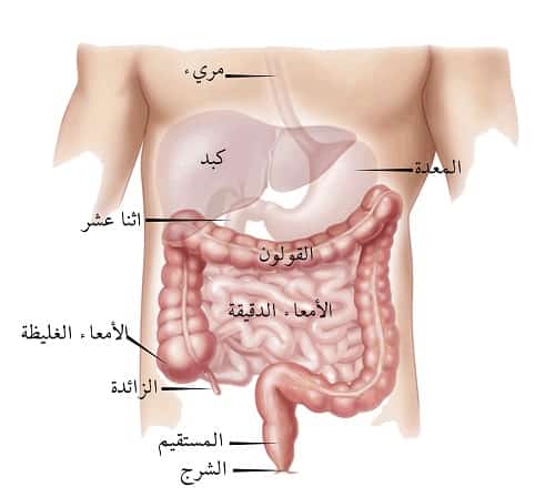 بنات اللي تعاني من القولون تدخل ضروري , تعرفى على اعراض القولون العصبي