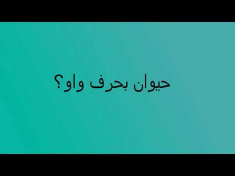 حيوان بحرف و - الغاز تجعلك تشغل عقلك Hqdefault 2 1