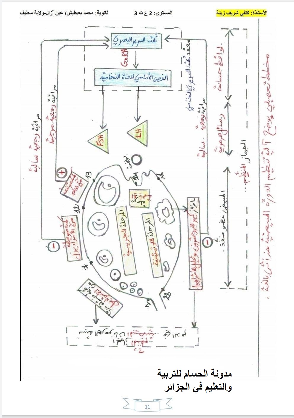 التنسيق العصبي الهرموني اقوى مراجعه ل 3