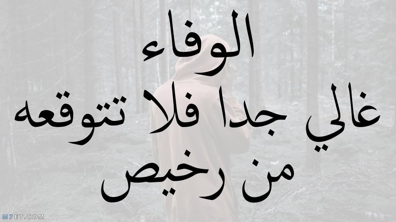 كلمات حلوه-أحلى كلام رائع -D9-83-D9-84-D9-85-D8-A7-D8-Aa -D8-Ad-D9-84-D9-88-D9-87-D8-A3-D8-Ad-D9-84-D9-89 -D9-83-D9-84-D8-A7-D9-85 -D8-B1-D8-A7-D8-A6-D8-B9