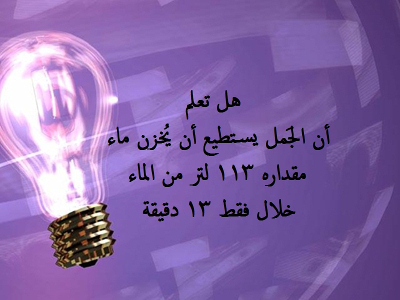 هل تعلم معلومات عامة - معلومات مفيده جدا اليك -D9-87-D9-84 -D8-Aa-D8-B9-D9-84-D9-85 -D9-85-D8-B9-D9-84-D9-88-D9-85-D8-A7-D8-Aa -D8-B9-D8-A7-D9-85-D8-A9 -D9-85-D8-B9-D9-84-D9-88-D9-85-D8-A7-D8-Aa -D9-85-D9-81-D9-8A-D8-Af-D9-87 -D8-Ac-D8-Af-D8-A7 2