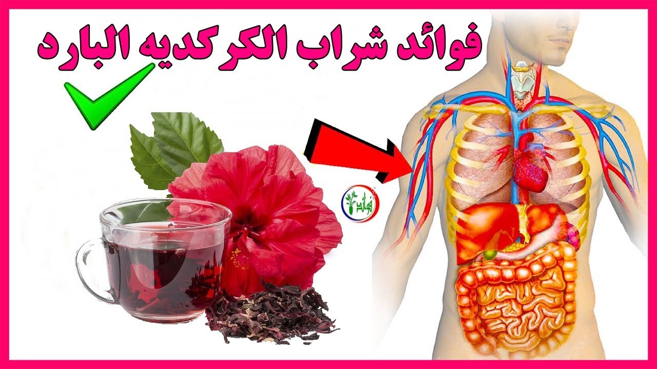 الكركديه للتخسيس وفقدان الدهون , فوائد الكركديه المذهله