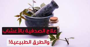 علاج صدفية الشعر بالاعشاب- كيفية معالجة مرض الصدفية -D8-Aa-D9-86-D8-B2-D9-8A-D9-84 11