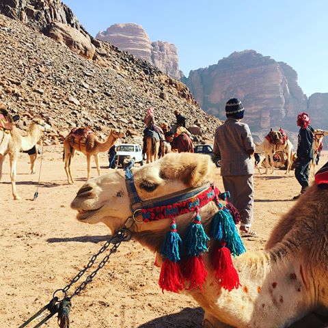 اجمل الصور البدويه - لحظات من التراث العربي مصوره -D8-A7-D8-Ac-D9-85-D9-84 -D8-A7-D9-84-D8-B5-D9-88-D8-B1 -D8-A7-D9-84-D8-A8-D8-Af-D9-88-D9-8A-D9-87 -D9-84-D8-Ad-D8-B8-D8-A7-D8-Aa -D9-85-D9-86 -D8-A7-D9-84-D8-Aa-D8-B1-D8-A7-D8-Ab -D8-A7-D9-84-D8-B9 4