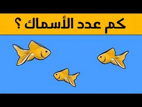 الغاز سهلة جدا-شغل مخك وأحفظ ذاكرتك وفكر شويه -D8-A7-D9-84-D8-Ba-D8-A7-D8-B2 -D8-B3-D9-87-D9-84-D8-A9 -D8-Ac-D8-Af-D8-A7-D8-B4-D8-Ba-D9-84 -D9-85-D8-Ae-D9-83 -D9-88-D8-A3-D8-Ad-D9-81-D8-B8 -D8-B0-D8-A7-D9-83-D8-B1-D8-Aa-D9-83 -D9-88-D9-81-D9-83 9