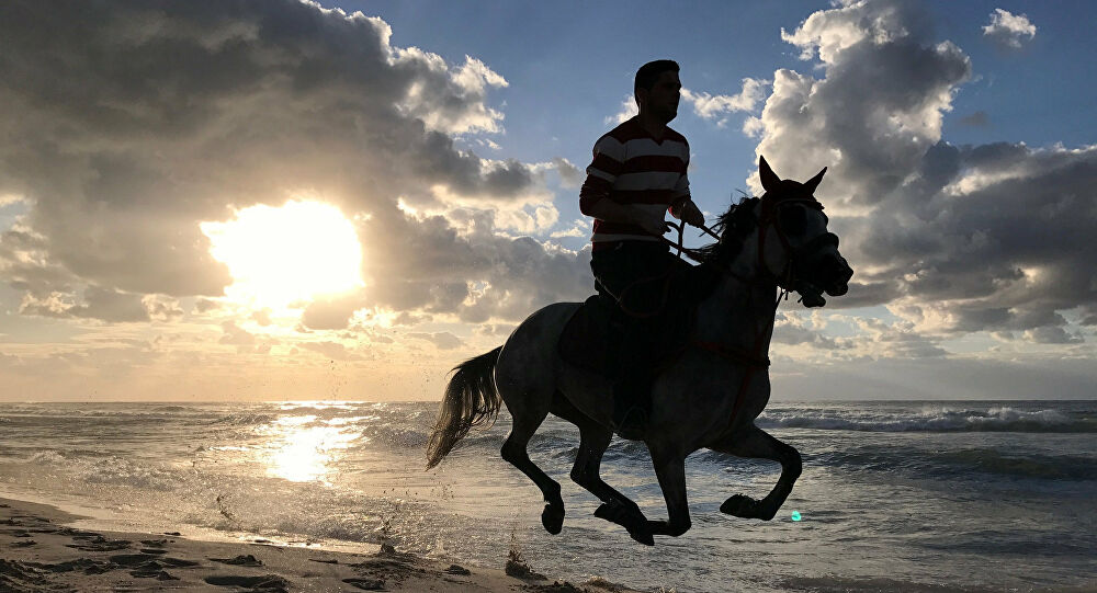 رؤيا ركوب الخيل دلاله وجود الحصان فى ا