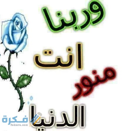 رد على تعليق منور - كيف ارد على بعض المجاملات -D8-B1-D8-Af -D8-B9-D9-84-D9-89 -D8-Aa-D8-B9-D9-84-D9-8A-D9-82 -D9-85-D9-86-D9-88-D8-B1 -D9-83-D9-8A-D9-81 -D8-A7-D8-B1-D8-Af -D8-B9-D9-84-D9-89 -D8-A8-D8-B9-D8-B6 -D8-A7-D9-84-D9-85-D8-Ac-D8-A7 1