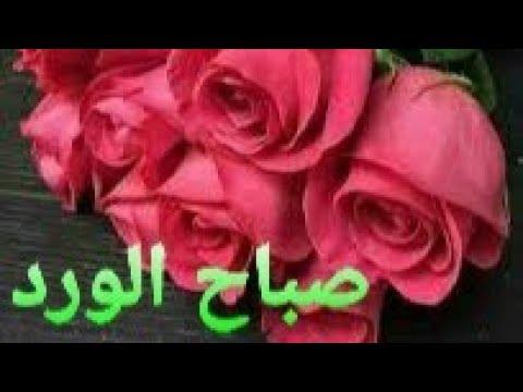 صور جميلة للصباح - خلفيات مميزة للشروق -D8-B5-D9-88-D8-B1 -D8-Ac-D9-85-D9-8A-D9-84-D8-A9 -D9-84-D9-84-D8-B5-D8-A8-D8-A7-D8-Ad -D8-Ae-D9-84-D9-81-D9-8A-D8-A7-D8-Aa -D9-85-D9-85-D9-8A-D8-B2-D8-A9 -D9-84-D9-84-D8-B4-D8-B1-D9-88-D9-82 9