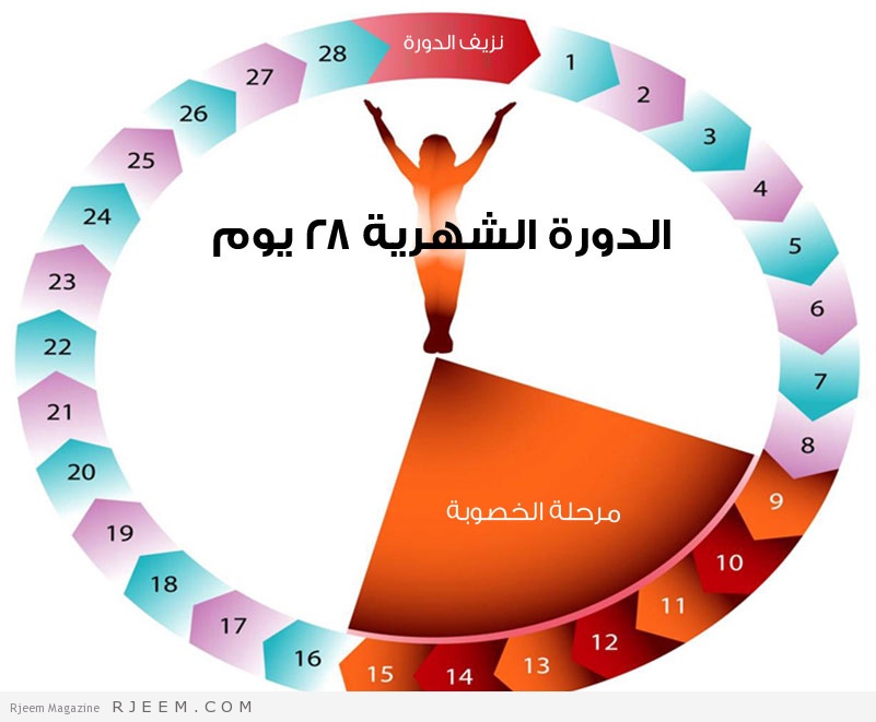 تاخر الدورة اسبوعين , ما السبب فى تاخر نزول الدورة الشهريه