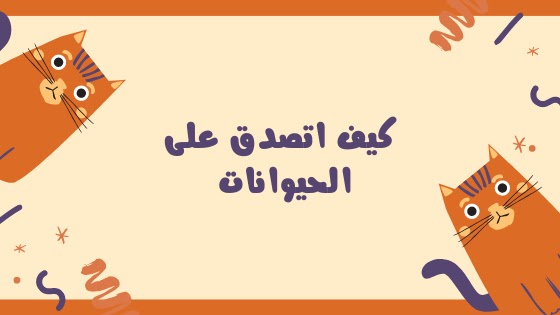 كيف اتصدق على الحيوانات- معلومات دينية كيف اتصدق على الحيوانات معلومات دينية