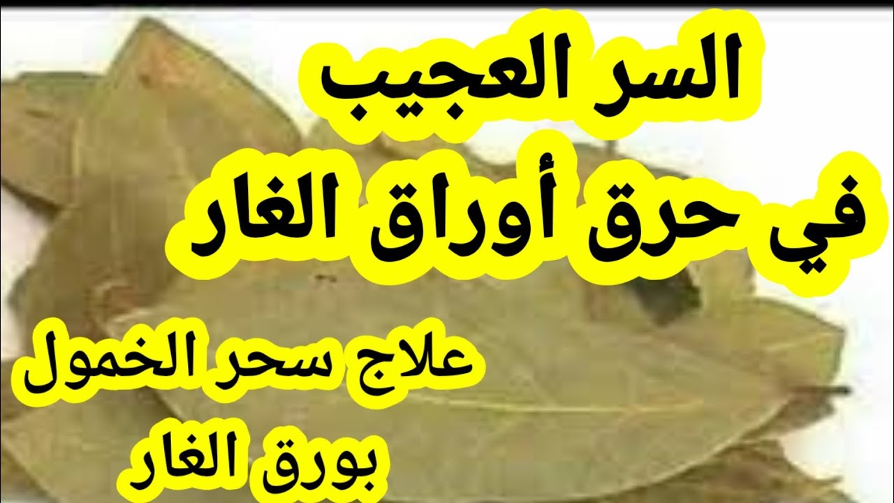 ورق الغار لعلاج السحر , أبعد وفك السحر اللى عليك