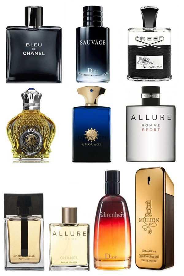 اجمل للعطور الرياض - عطر فواح جدا -D8-A7-D8-Ac-D9-85-D9-84 -D9-84-D9-84-D8-B9-D8-B7-D9-88-D8-B1 -D8-A7-D9-84-D8-B1-D9-8A-D8-A7-D8-B6 -D8-B9-D8-B7-D8-B1 -D9-81-D9-88-D8-A7-D8-Ad -D8-Ac-D8-Af-D8-A7 1