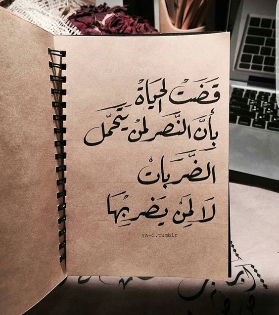 برودكاست عن الحياة-مقولات عن الخبره فى الحياه -D8-A8-D8-B1-D9-88-D8-Af-D9-83-D8-A7-D8-B3-D8-Aa -D8-B9-D9-86 -D8-A7-D9-84-D8-Ad-D9-8A-D8-A7-D8-A9-D9-85-D9-82-D9-88-D9-84-D8-A7-D8-Aa -D8-B9-D9-86 -D8-A7-D9-84-D8-Ae-D8-A8-D8-B1-D9-87 -D9-81-D9-89 4