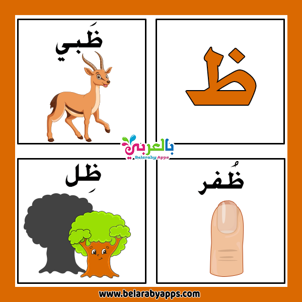 تجربتي ظ-تعلم حرف عربى -D8-Aa-D8-Ac-D8-B1-D8-A8-D8-Aa-D9-8A -D8-B8 1