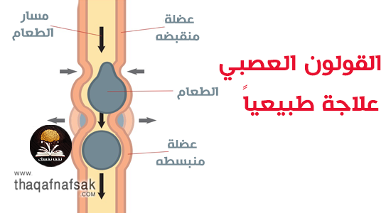 خلطه لعلاج القولون العصبي - القضاء على الم القولون العصبى -D8-Ae-D9-84-D8-B7-D9-87 -D9-84-D8-B9-D9-84-D8-A7-D8-Ac -D8-A7-D9-84-D9-82-D9-88-D9-84-D9-88-D9-86 -D8-A7-D9-84-D8-B9-D8-B5-D8-A8-D9-8A -D8-A7-D9-84-D9-82-D8-B6-D8-A7-D8-A1 -D8-B9-D9-84-D9-89 -D8-A7