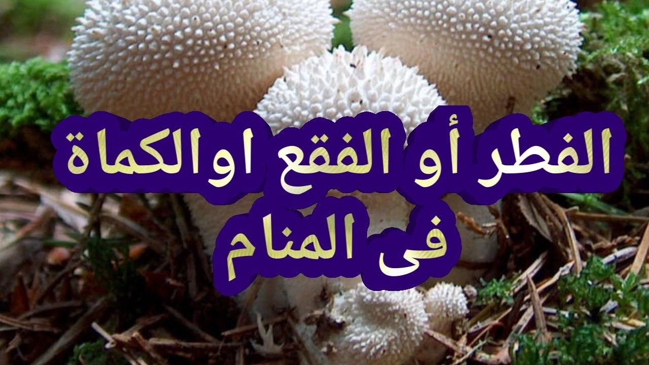 رؤية الفقع في المنام - هل حلم الفقع خير ام شر -D8-B1-D8-A4-D9-8A-D8-A9 -D8-A7-D9-84-D9-81-D9-82-D8-B9 -D9-81-D9-8A -D8-A7-D9-84-D9-85-D9-86-D8-A7-D9-85 -D9-87-D9-84 -D8-Ad-D9-84-D9-85 -D8-A7-D9-84-D9-81-D9-82-D8-B9 -D8-Ae-D9-8A-D8-B1 -D8-A7