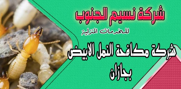 شركة مكافحة النمل الابيض - اختار شركه قادره وتعمل للقضاء على النمل -D8-B4-D8-B1-D9-83-D8-A9 -D9-85-D9-83-D8-A7-D9-81-D8-Ad-D8-A9 -D8-A7-D9-84-D9-86-D9-85-D9-84 -D8-A7-D9-84-D8-A7-D8-A8-D9-8A-D8-B6-D8-A7-D8-Ae-D8-Aa-D8-A7-D8-B1 -D8-B4-D8-B1-D9-83-D9-87 -D9-82-D8-A7