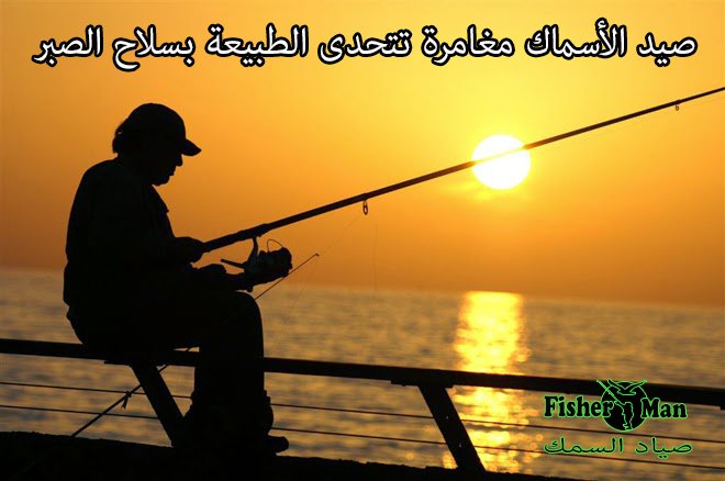 قصيدة عن الصيد - أفضل كلمات عن الصيد -D9-82-D8-B5-D9-8A-D8-Af-D8-A9 -D8-B9-D9-86 -D8-A7-D9-84-D8-B5-D9-8A-D8-Af -D8-A3-D9-81-D8-B6-D9-84 -D9-83-D9-84-D9-85-D8-A7-D8-Aa -D8-B9-D9-86 -D8-A7-D9-84-D8-B5-D9-8A-D8-Af 2