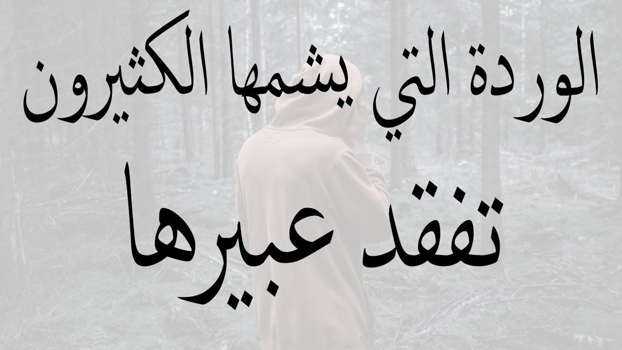 كلام جميل من ذهب - مواعظ على مر الاجيال -D9-83-D9-84-D8-A7-D9-85 -D8-Ac-D9-85-D9-8A-D9-84 -D9-85-D9-86 -D8-B0-D9-87-D8-A8 -D9-85-D9-88-D8-A7-D8-B9-D8-B8 -D8-B9-D9-84-D9-89 -D9-85-D8-B1 -D8-A7-D9-84-D8-A7-D8-Ac-D9-8A-D8-A7-D9-84 3