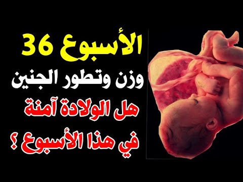 الاسبوع 36 من الحمل اي شهر , تفتكرى هو الشهر الكام