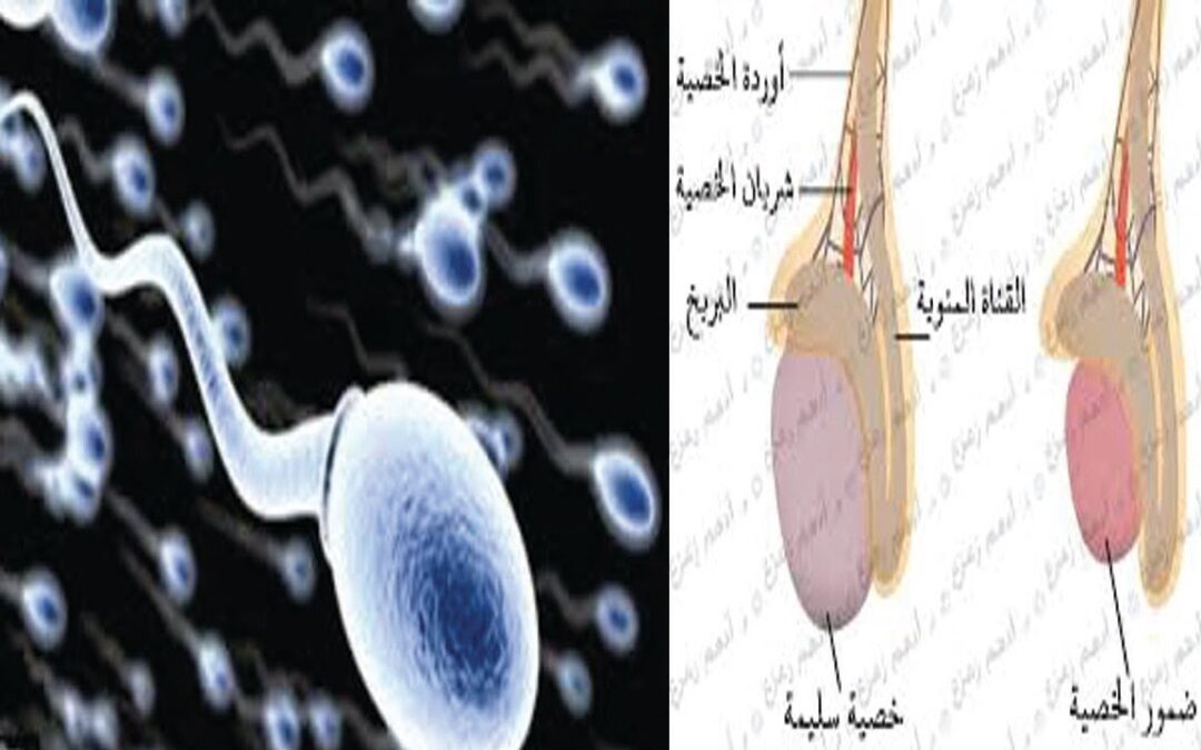 علاج ضمور الخصية , مرض يقابل الرجال