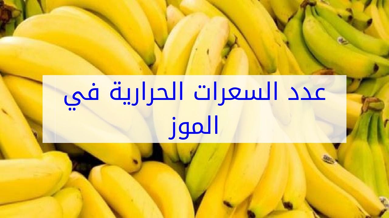 كم سعرة حرارية في الموز - ما هى السعرات الحرارية في الموز كم سعرة حرارية في الموز ما هى السعرات ا