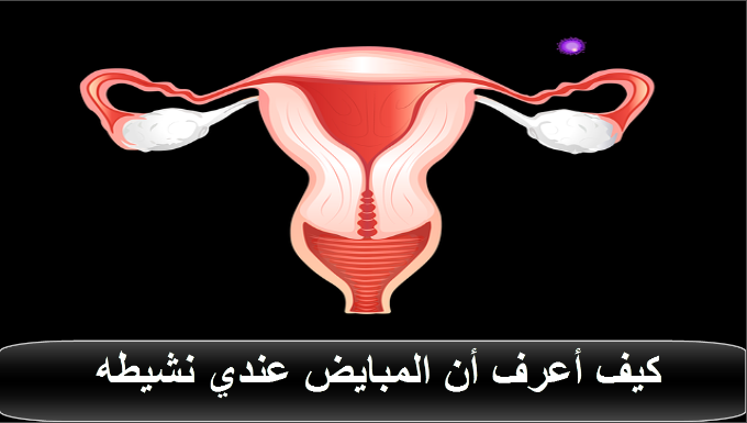 كيف اعرف ان المبايض عندي نشيطه , عايزة اعمل كشف طبي يا بنات