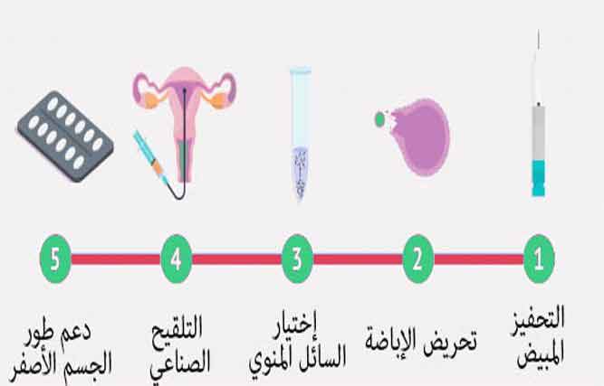 المقبلات على التلقيح الصناعي يومياتنا خطوه بخطوه , معلومات عن التلقيح الصناعي