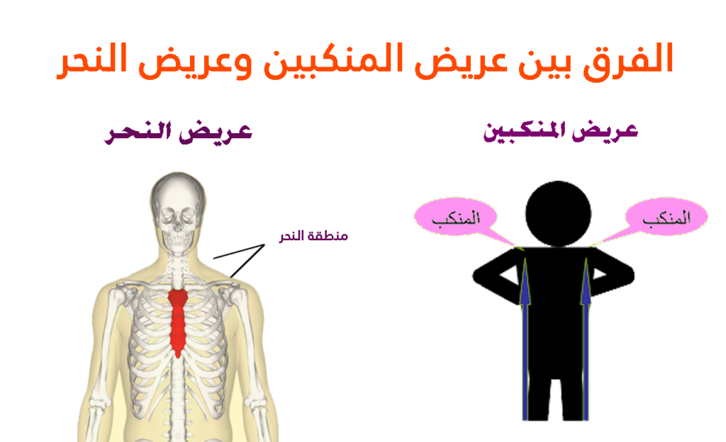 معنى عريض المنكبين , أى انسان هتراه عريض