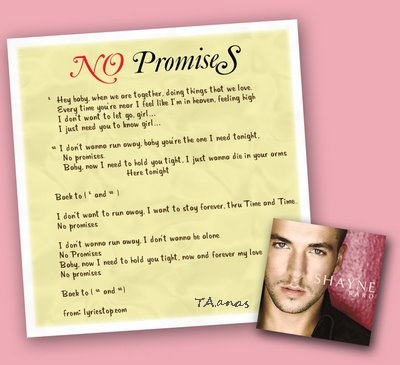 no promises كلمات اغنية , عشاق الأغانى الأجنبية